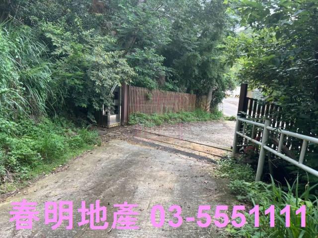 新竹林地-8