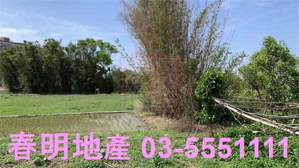竹東工業地-2