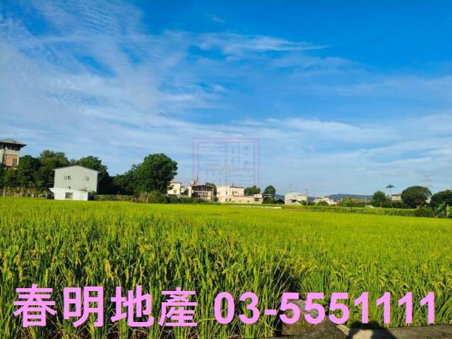 橫山農地-5