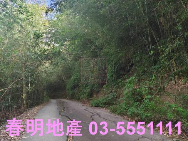 芎林農地-4