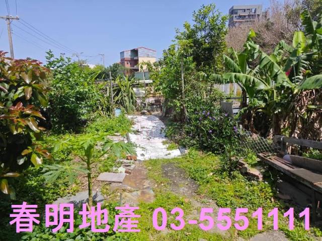 北區農地-4