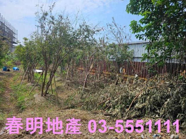 東區農地-0