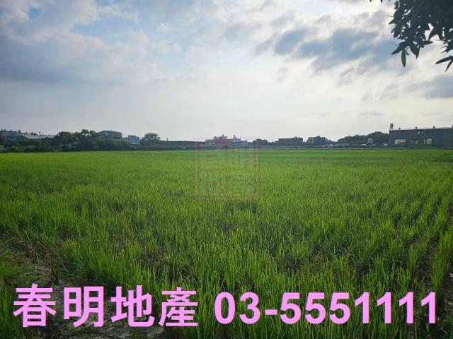 東區農地-4