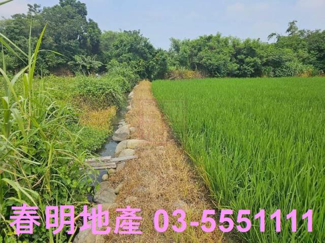 新竹農地-0
