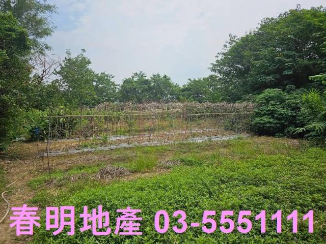新竹農地-1
