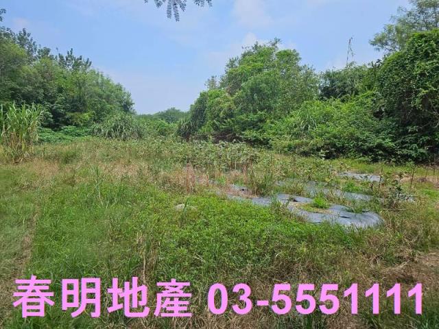 新竹農地-3