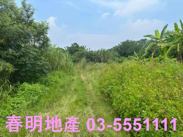 新竹農地-4