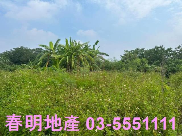 新竹農地-5