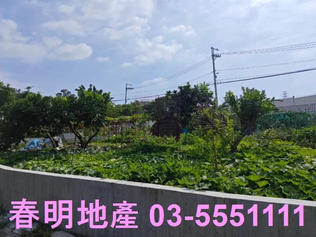 新竹東區保護地-2