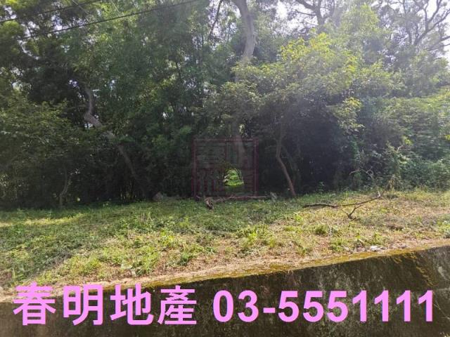 新竹東區保護地-5