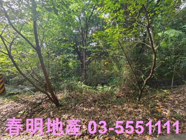 新竹芎林農地-4