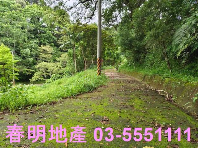 苗栗南庄林地-8