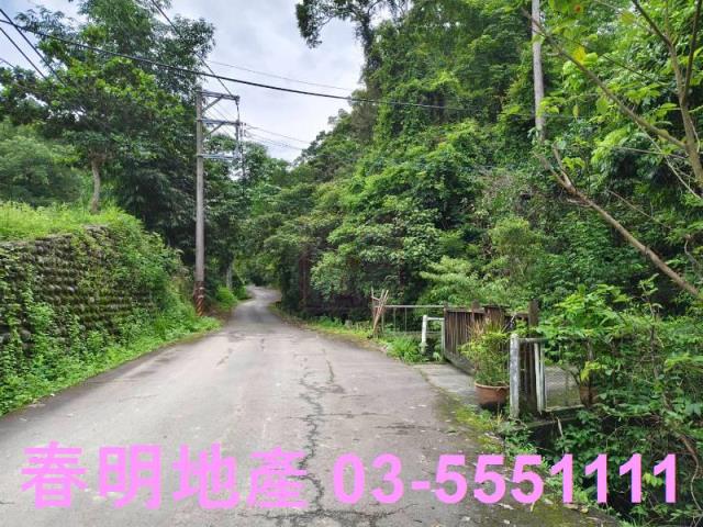 苗栗南庄林地-3