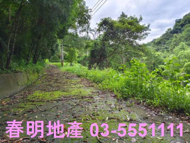 苗栗南庄林地-7
