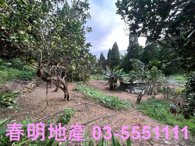 新竹新埔農地-10