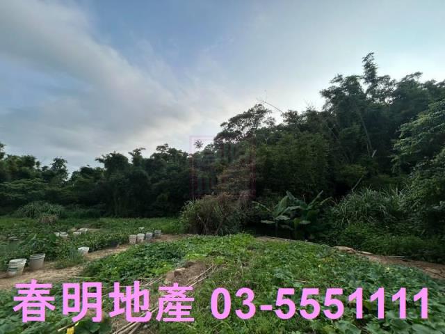 新竹新埔農地-1