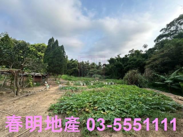 新竹新埔農地-2