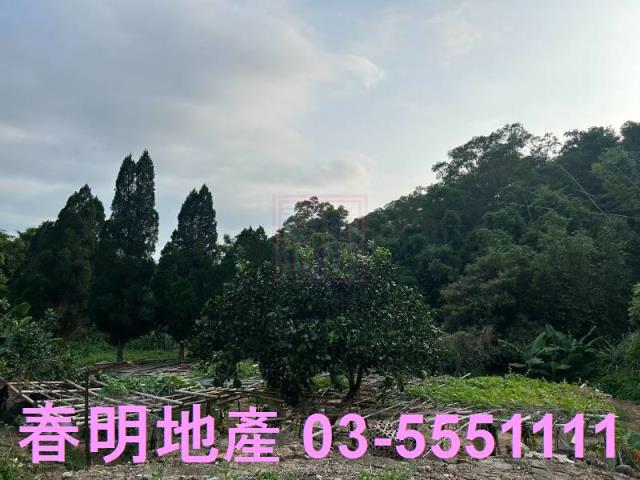 新竹新埔農地-3