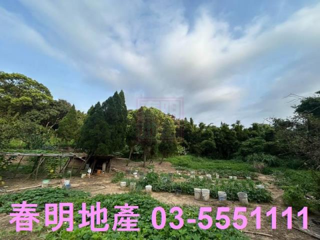 新竹新埔農地-4