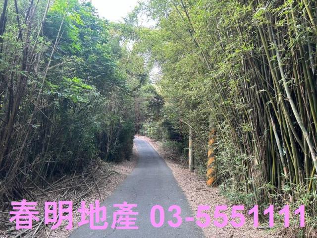新竹新埔農地-5