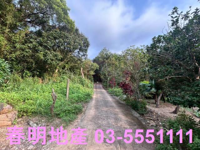 新竹新埔農地-8