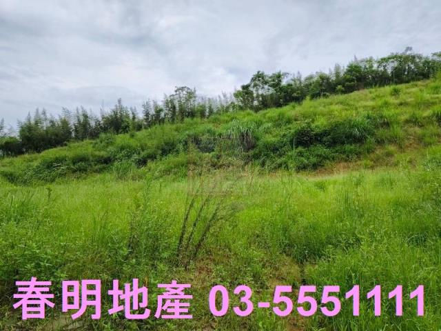 新竹峨眉農地-9