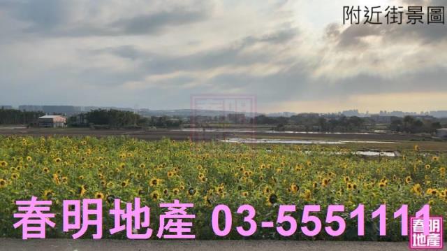 竹北農地-9