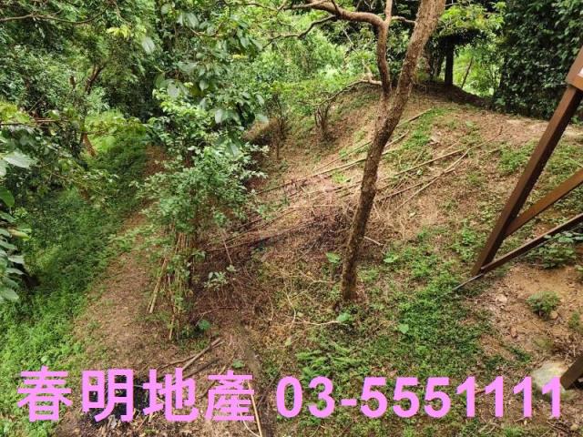 寶山農地-13