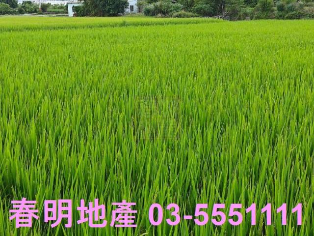 新竹農地-1