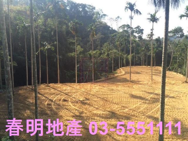 新竹橫山農地-4