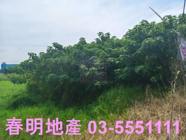 新竹新豐農地-2