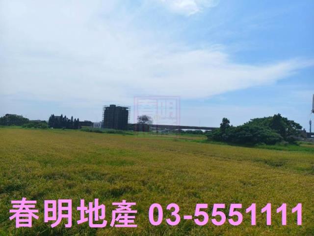 新竹新豐農地-5