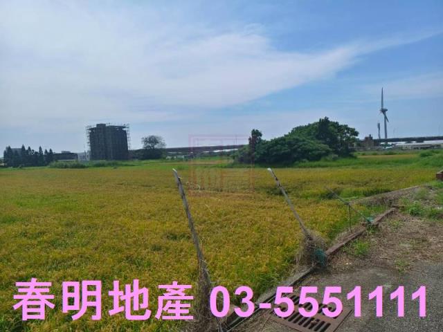 新竹新豐農地-7