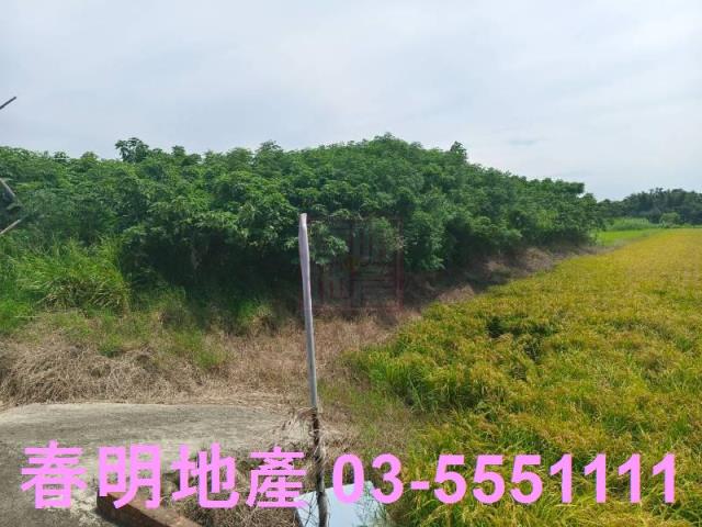 新竹新豐農地-8