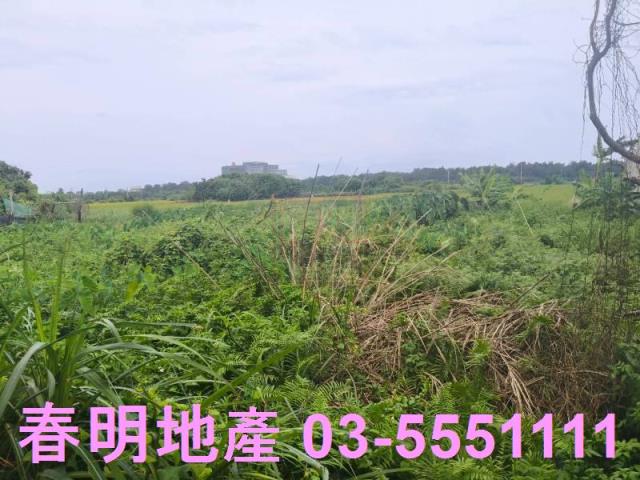 新竹農地-6