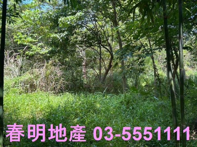 峨眉建地-1