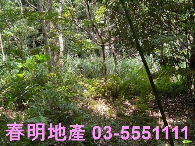 峨眉建地-2