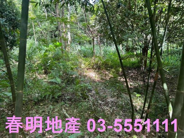 峨眉建地-5