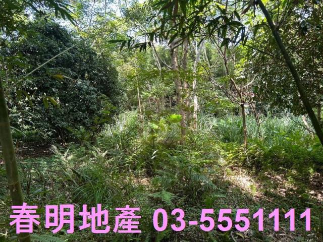 峨眉建地-6