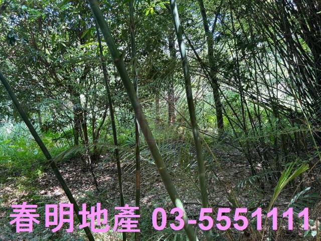 峨眉建地-7