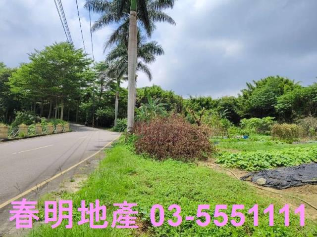 新竹竹東農地-10