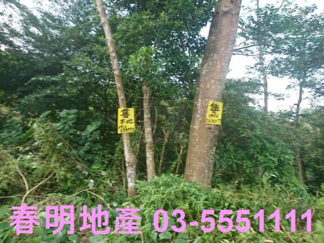 新竹農地-0