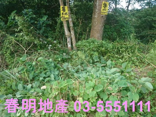 新竹農地-2