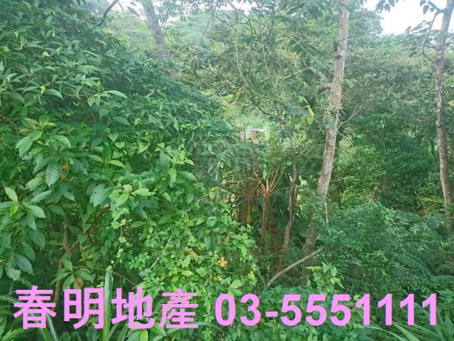 新竹農地-4