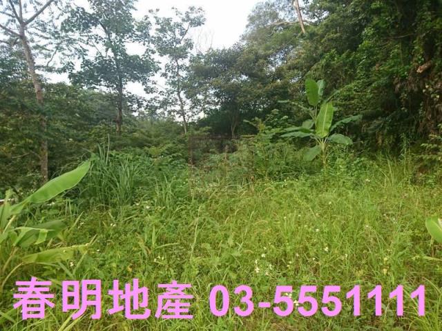 新竹農地-8