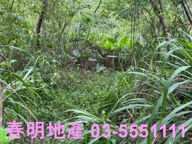 關西農地-2
