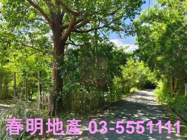 寶山農地-4