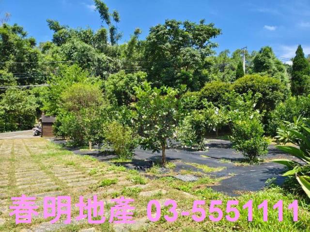 寶山農地-6