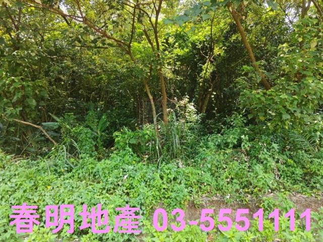 新竹新埔農地-9