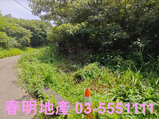 新竹新埔農地-5
